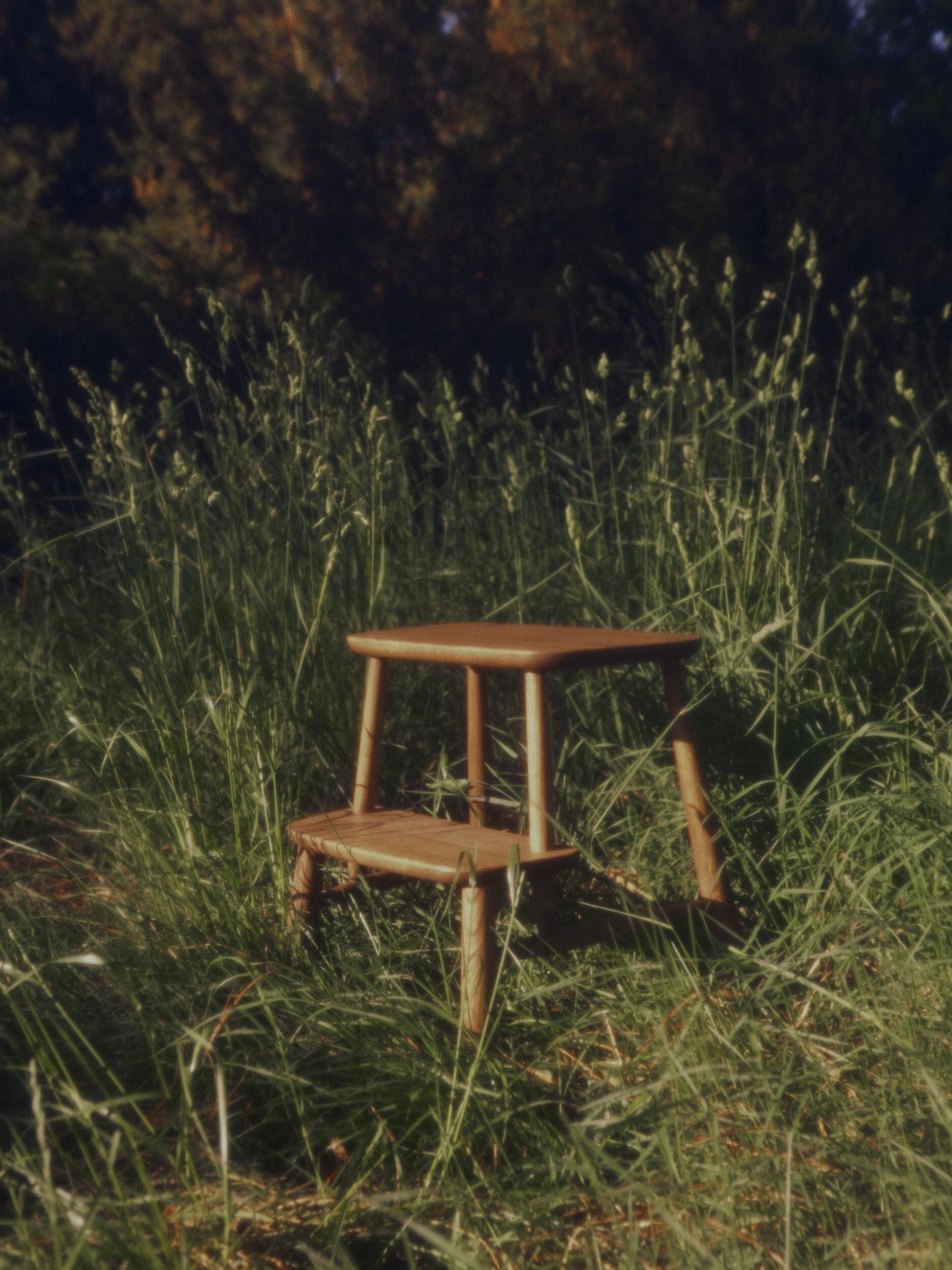 Step stool in grass