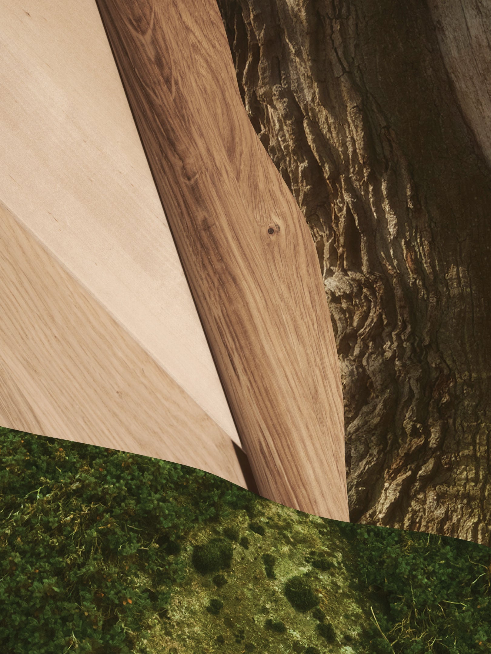 different images of oak put together as a collage