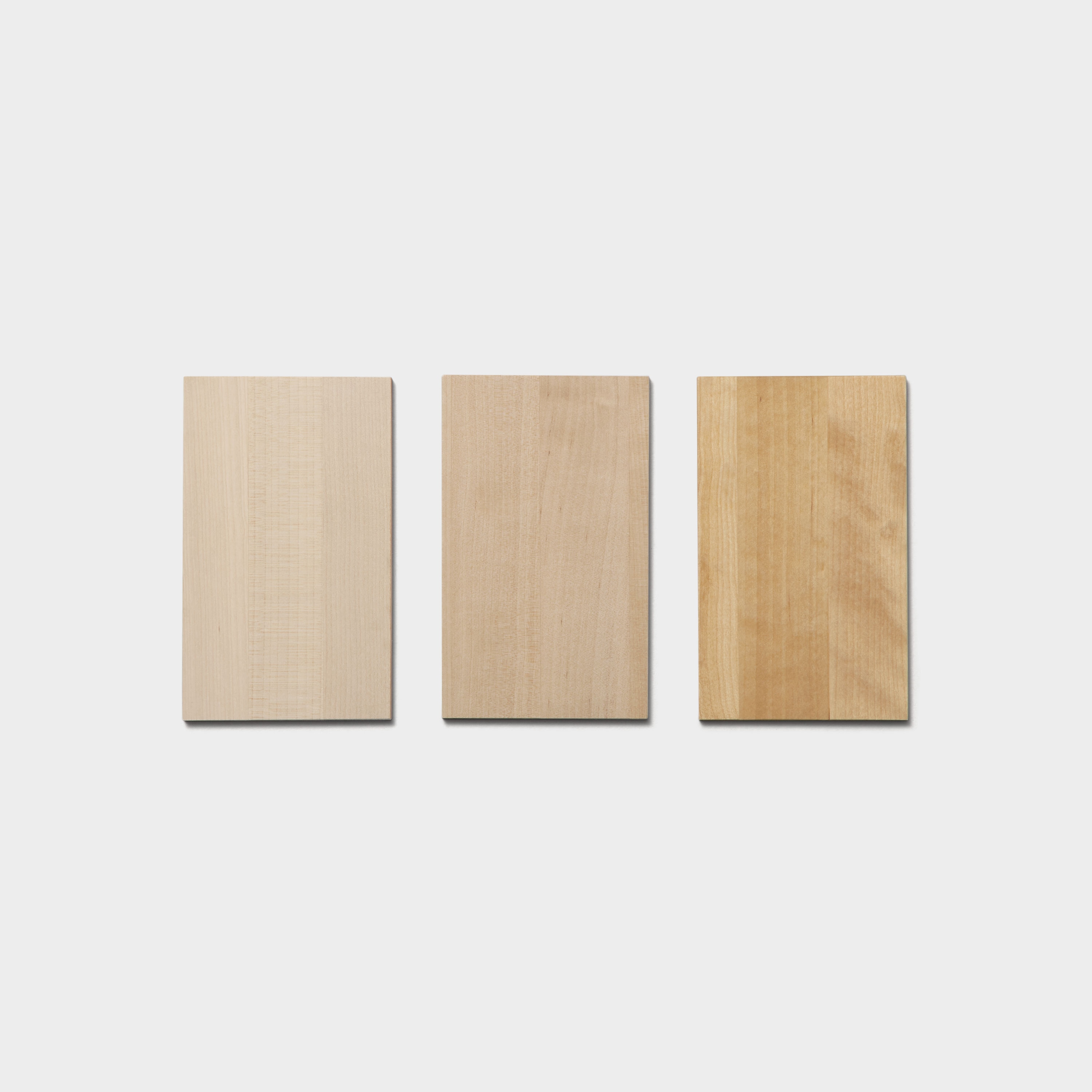 Wood sample birch